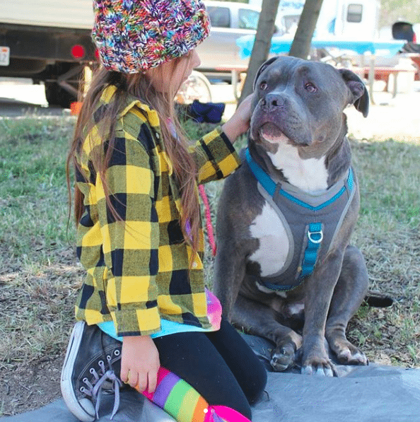 Little Girl And Her Pit Bull Become Internet Sensations